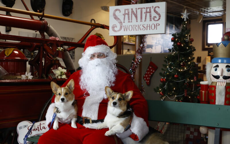 Santa and 2 corgis